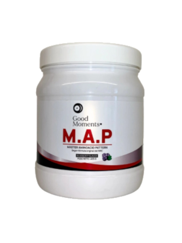 Good Moments - M.A.P Master Aminoacid Pattern - 500G