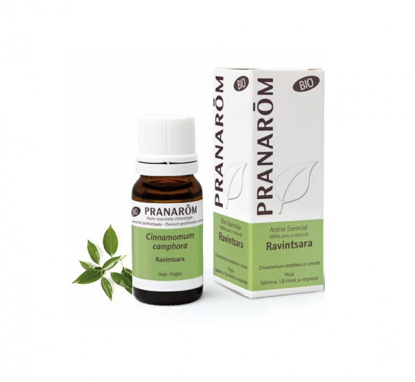 Pranarom Oleo Essencial Canfora 10ml